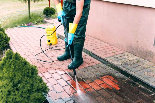 Best Roof Pressure Washing  in Wylie, TX